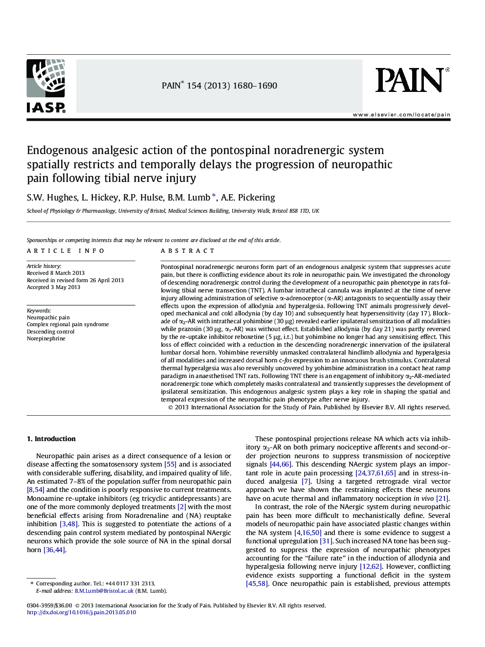 Endogenous analgesic action of the pontospinal noradrenergic system spatially restricts and temporally delays the progression of neuropathic pain following tibial nerve injury