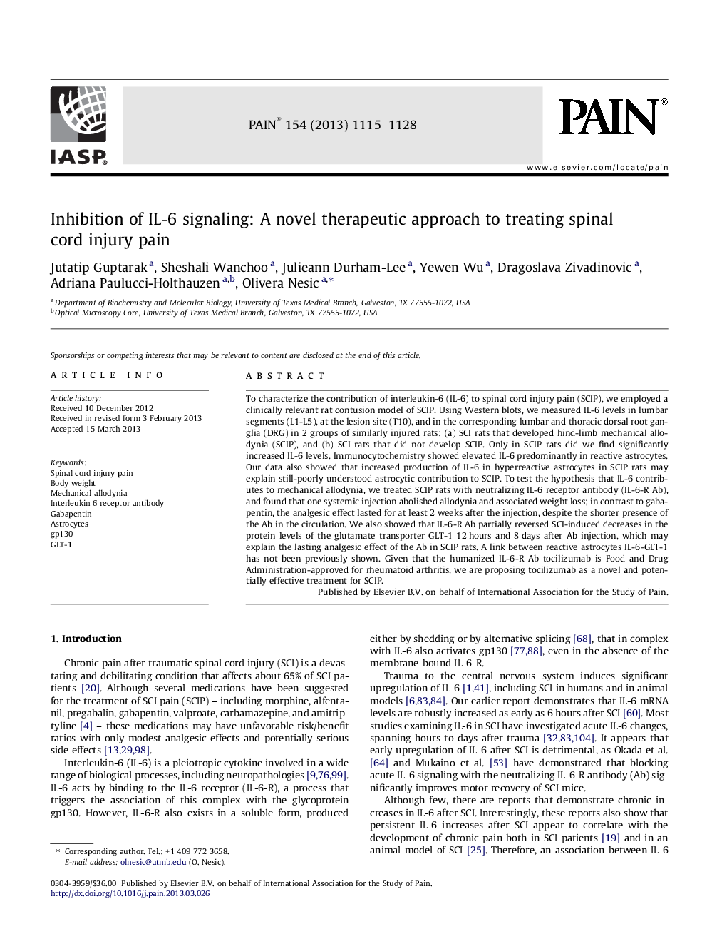 Inhibition of IL-6 signaling: A novel therapeutic approach to treating spinal cord injury pain