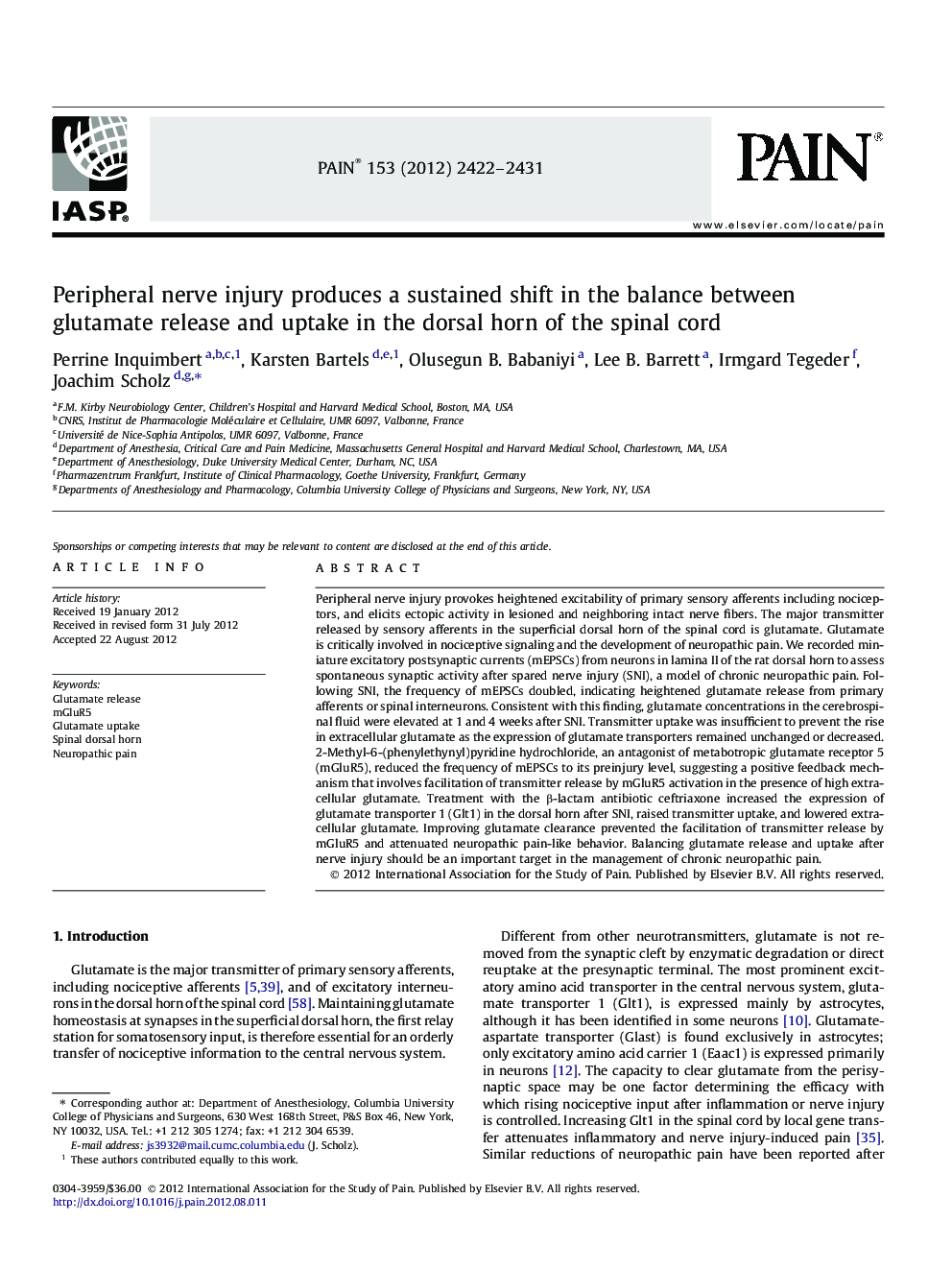 Peripheral nerve injury produces a sustained shift in the balance between glutamate release and uptake in the dorsal horn of the spinal cord