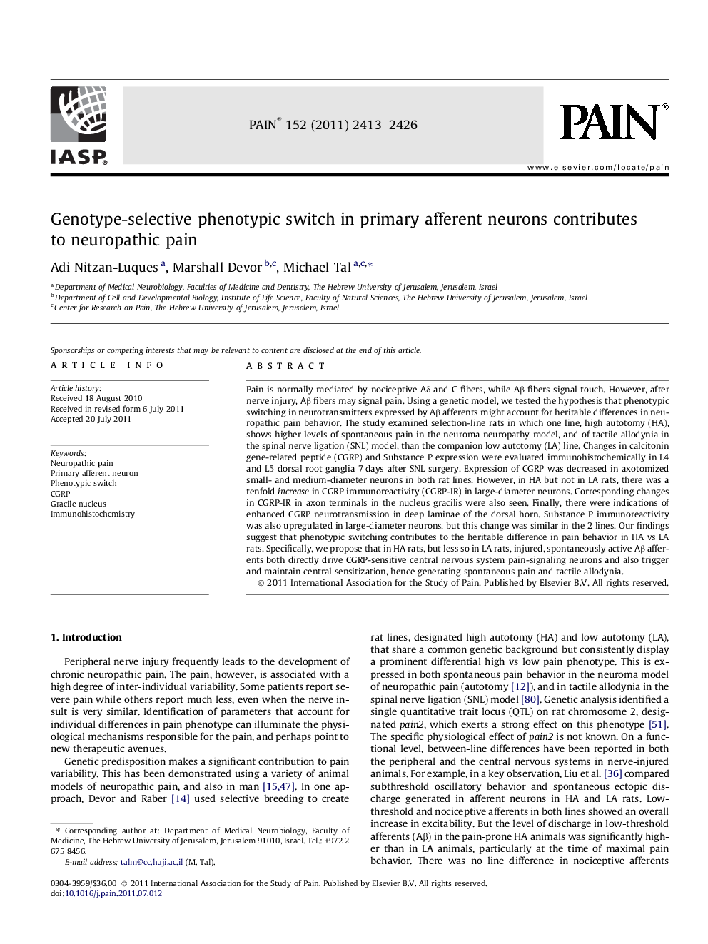 Genotype-selective phenotypic switch in primary afferent neurons contributes to neuropathic pain