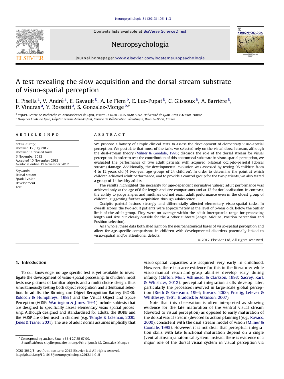 A test revealing the slow acquisition and the dorsal stream substrate of visuo-spatial perception