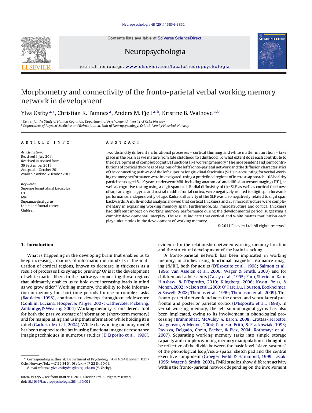 Morphometry and connectivity of the fronto-parietal verbal working memory network in development