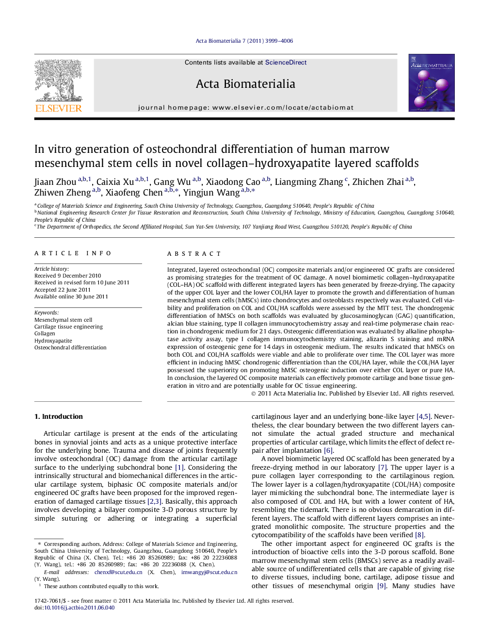 In vitro generation of osteochondral differentiation of human marrow mesenchymal stem cells in novel collagen–hydroxyapatite layered scaffolds