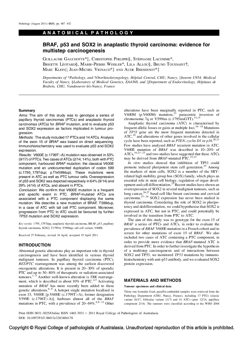 BRAF, p53 and SOX2 in anaplastic thyroid carcinoma: evidence for multistep carcinogenesis