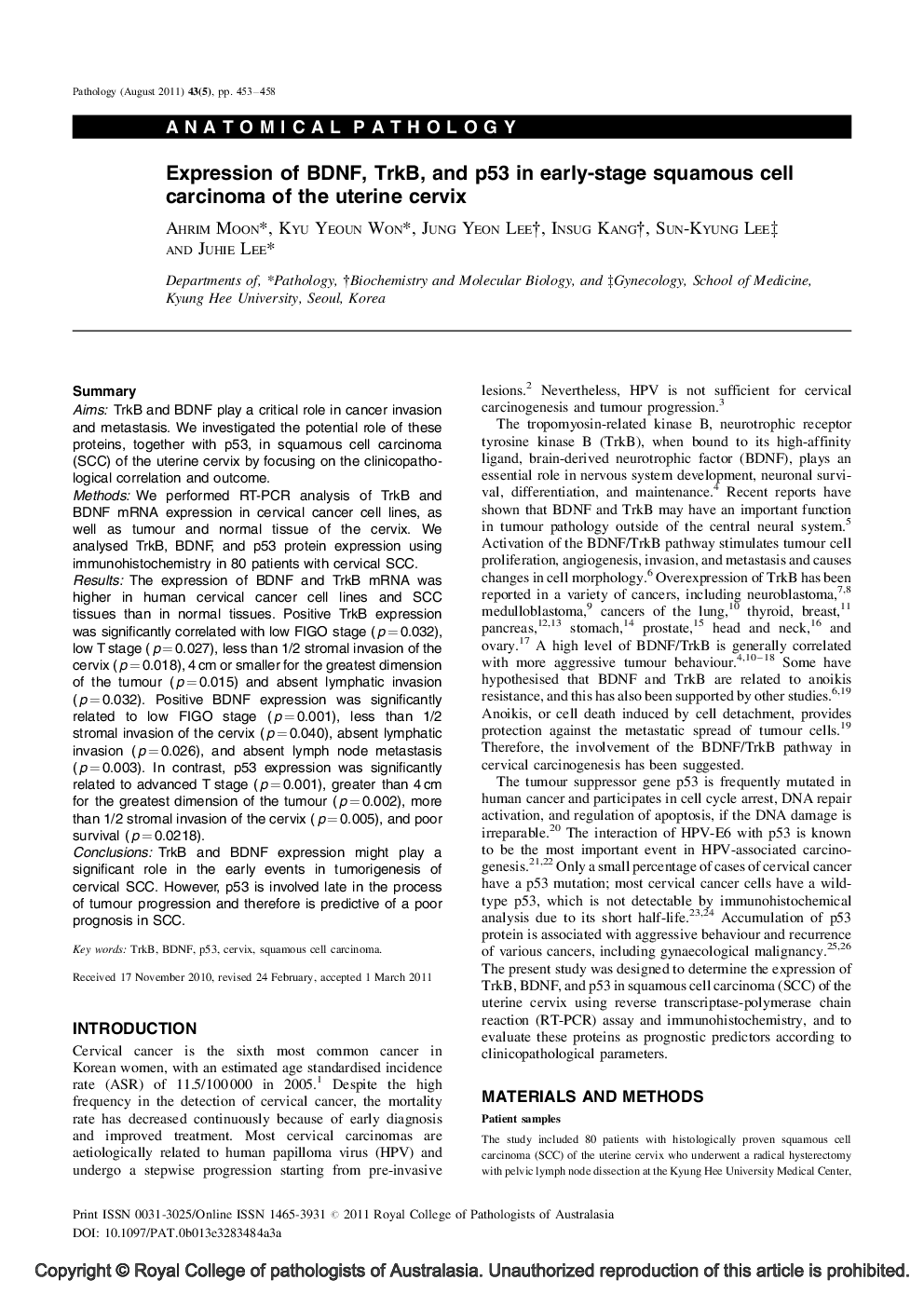 Expression of BDNF, TrkB, and p53 in early-stage squamous cell carcinoma of the uterine cervix