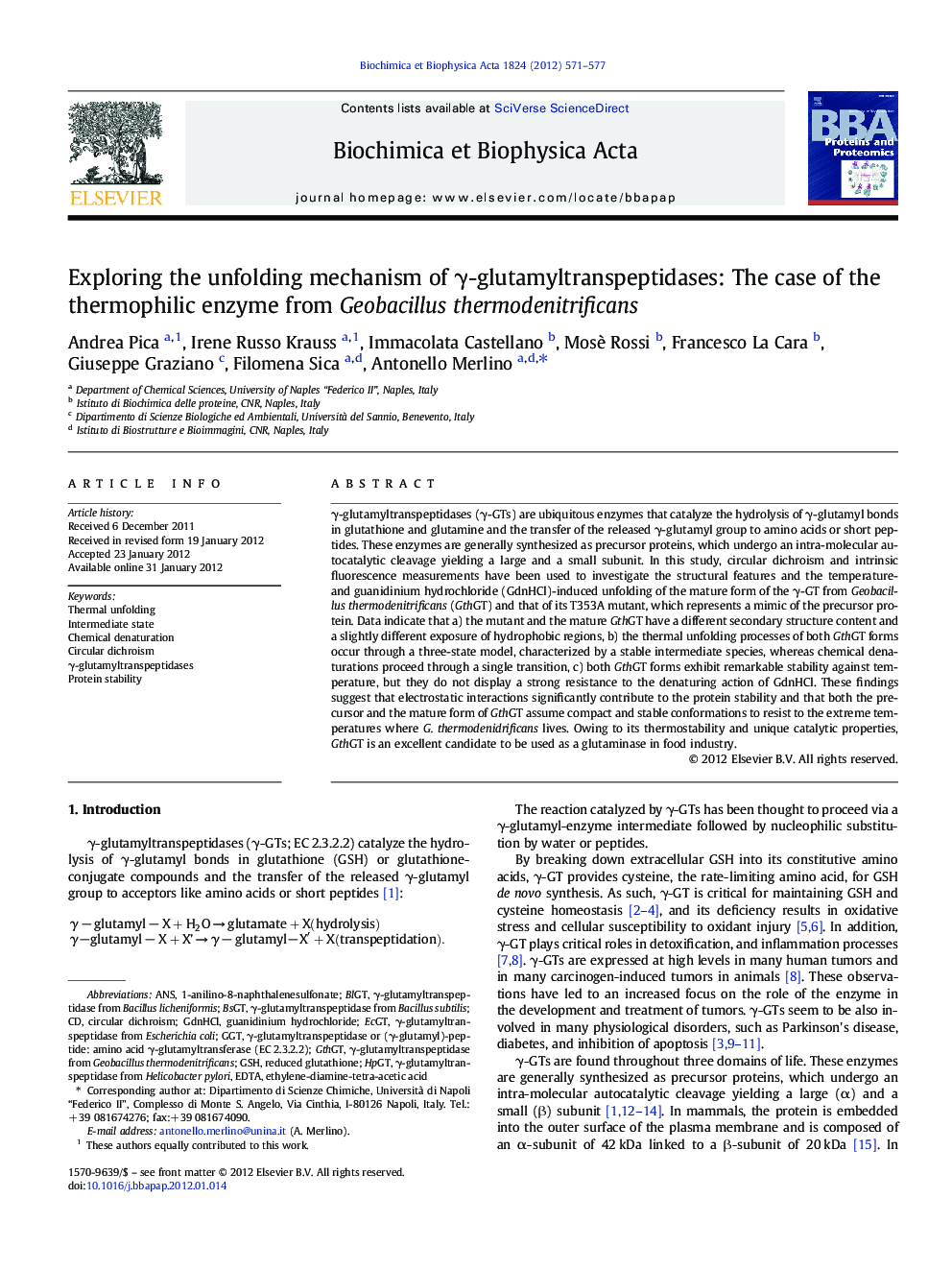 Exploring the unfolding mechanism of Î³-glutamyltranspeptidases: The case of the thermophilic enzyme from Geobacillus thermodenitrificans