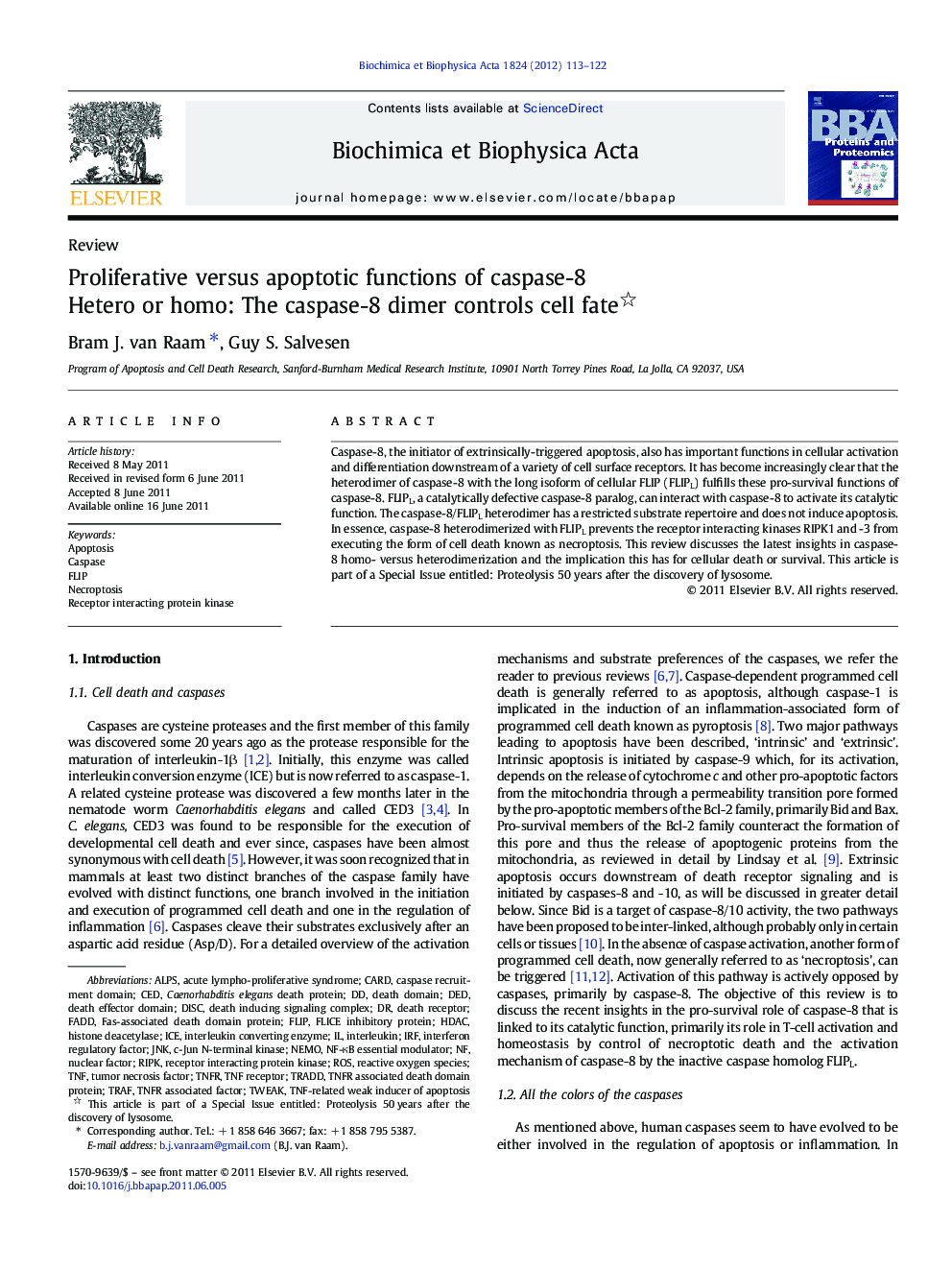 Proliferative versus apoptotic functions of caspase-8