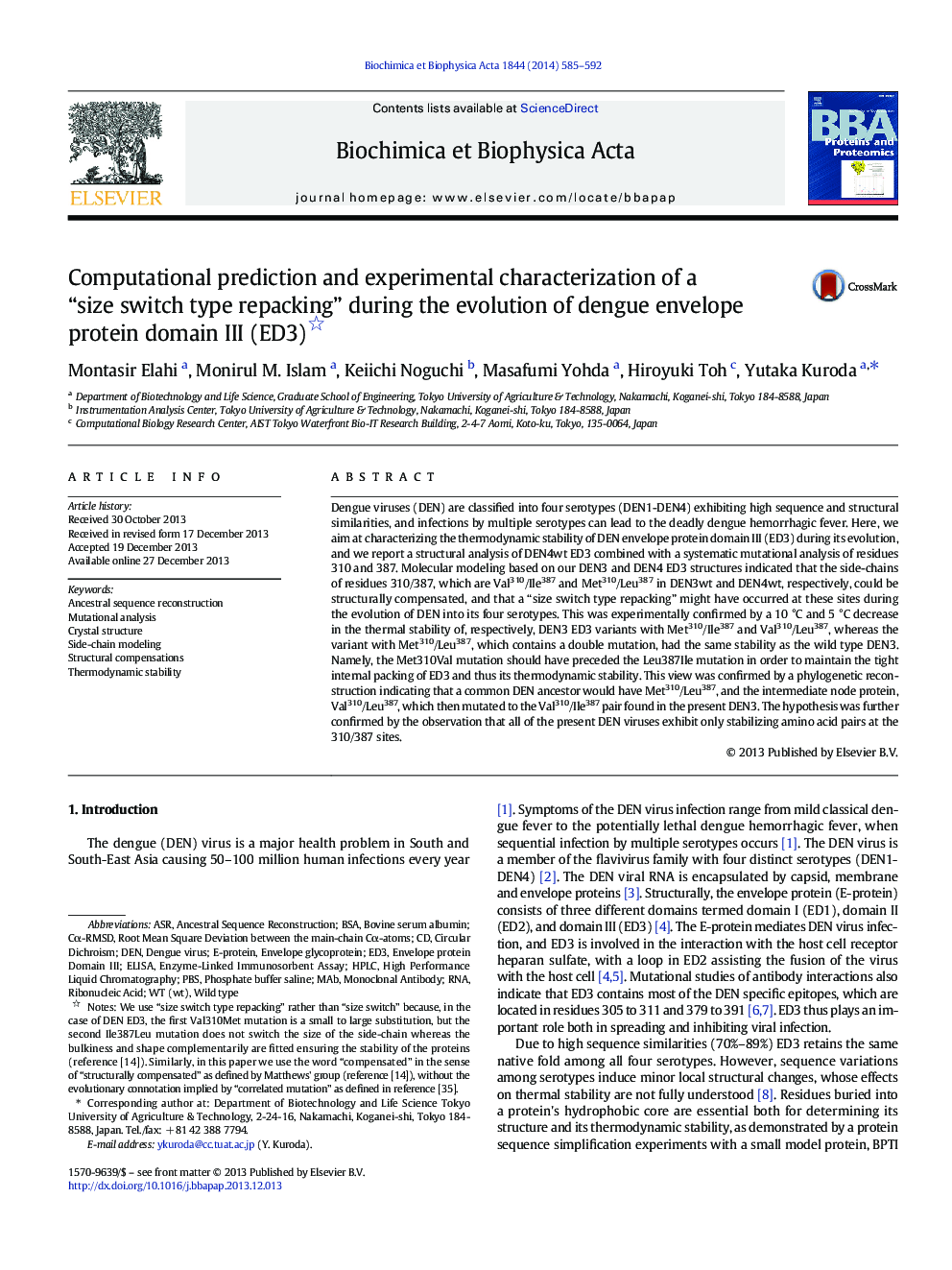 Computational prediction and experimental characterization of a “size switch type repacking” during the evolution of dengue envelope protein domain III (ED3)