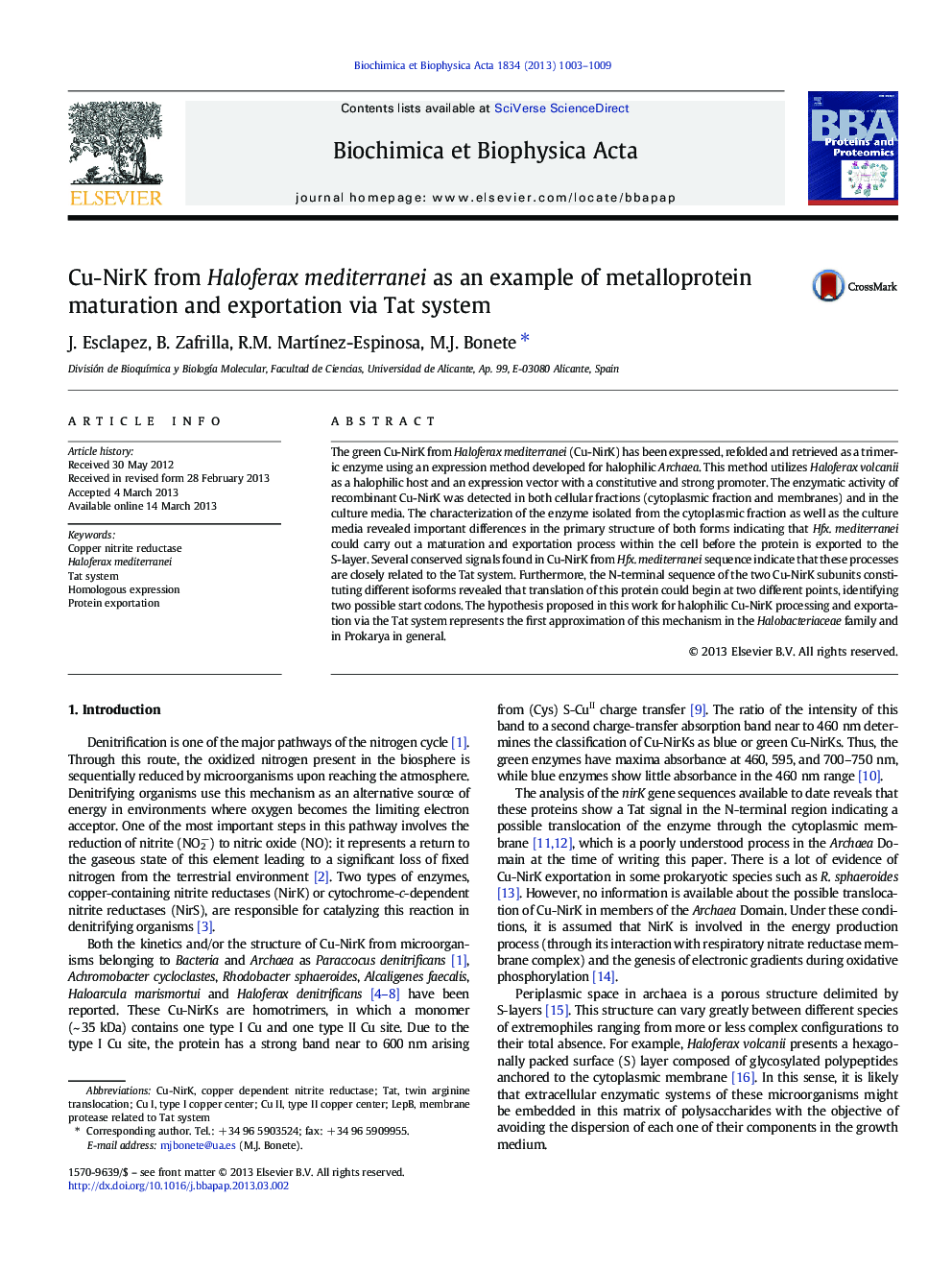 Cu-NirK from Haloferax mediterranei as an example of metalloprotein maturation and exportation via Tat system