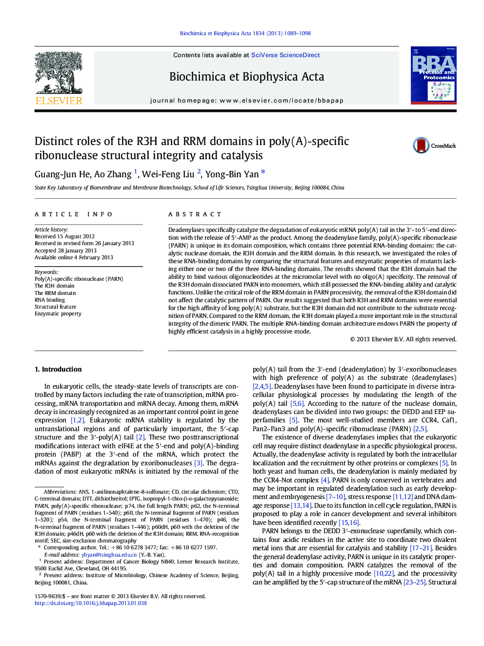 Distinct roles of the R3H and RRM domains in poly(A)-specific ribonuclease structural integrity and catalysis