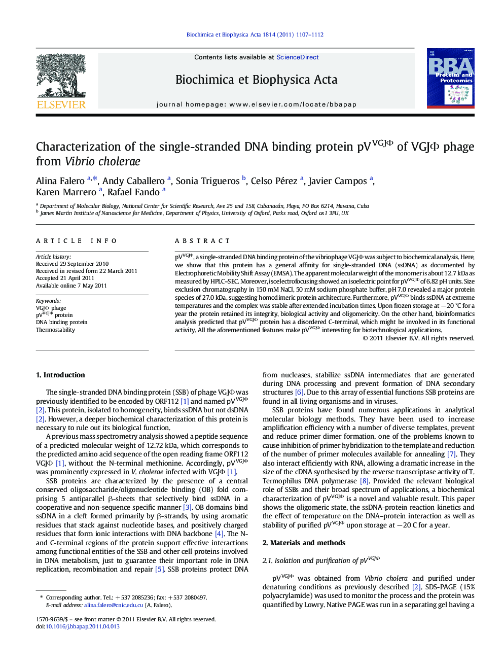 Characterization of the single-stranded DNA binding protein pVVGJÎ¦ of VGJÎ¦ phage from Vibrio cholerae