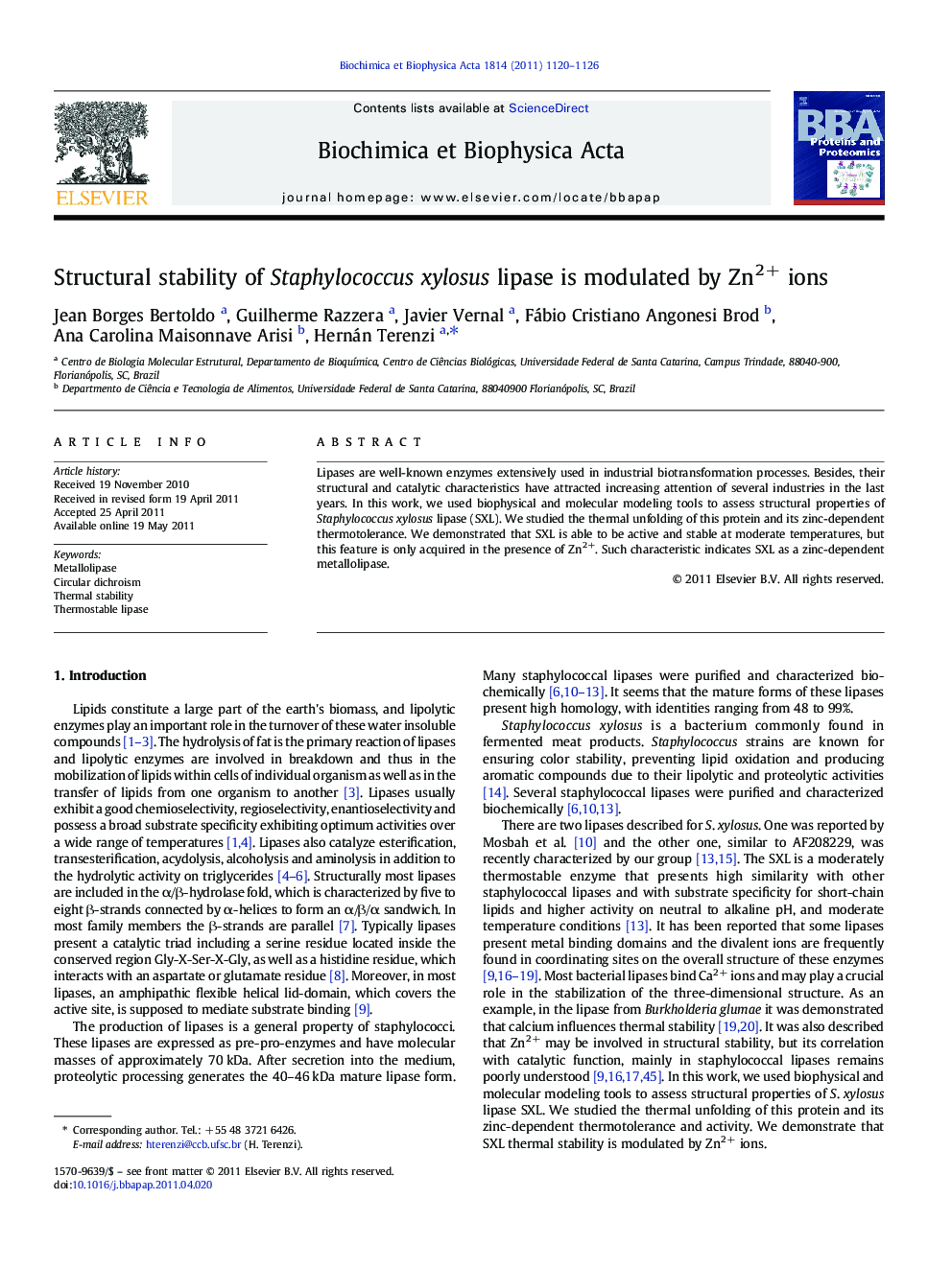 Structural stability of Staphylococcus xylosus lipase is modulated by Zn2+ ions