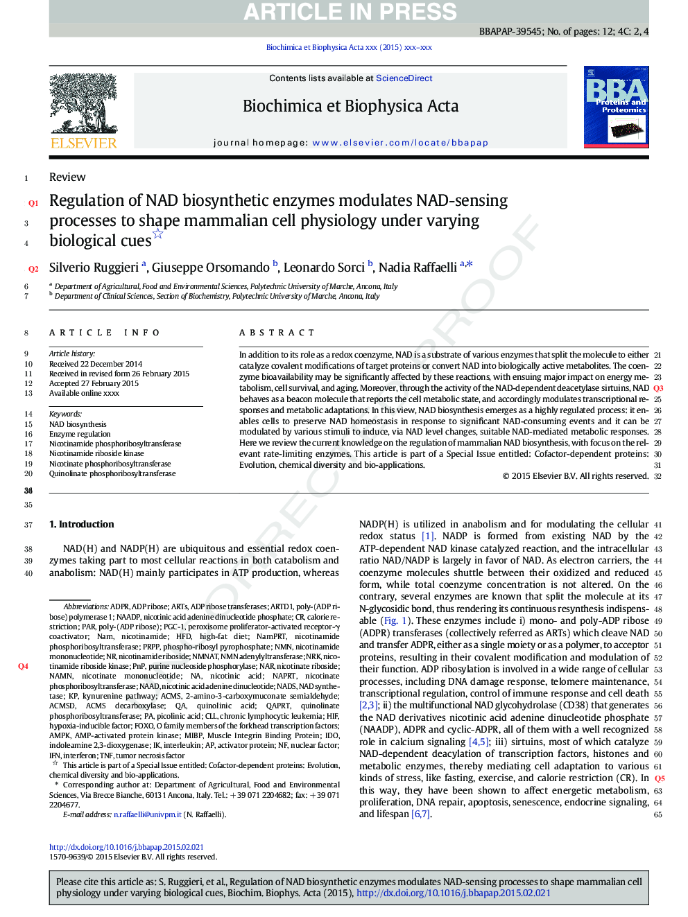 Regulation of NAD biosynthetic enzymes modulates NAD-sensing processes to shape mammalian cell physiology under varying biological cues