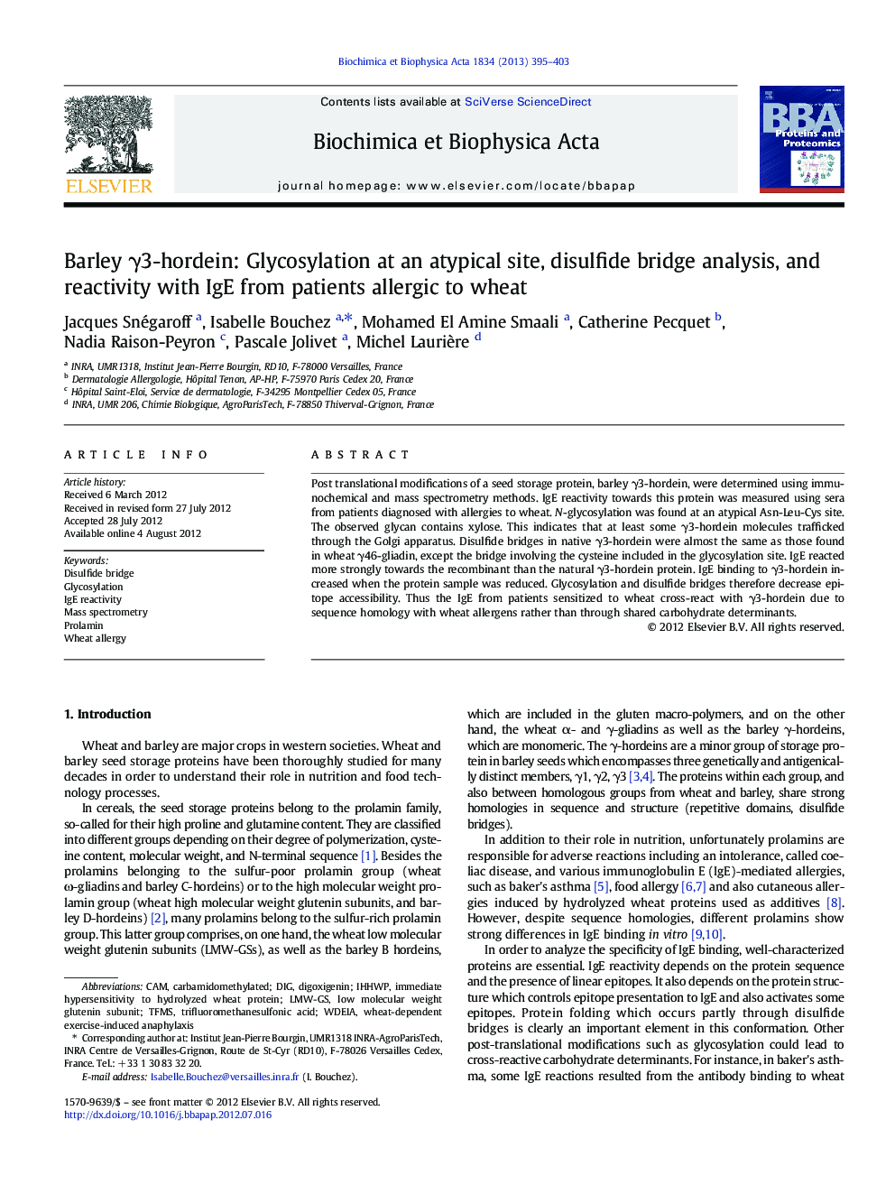 Barley Î³3-hordein: Glycosylation at an atypical site, disulfide bridge analysis, and reactivity with IgE from patients allergic to wheat