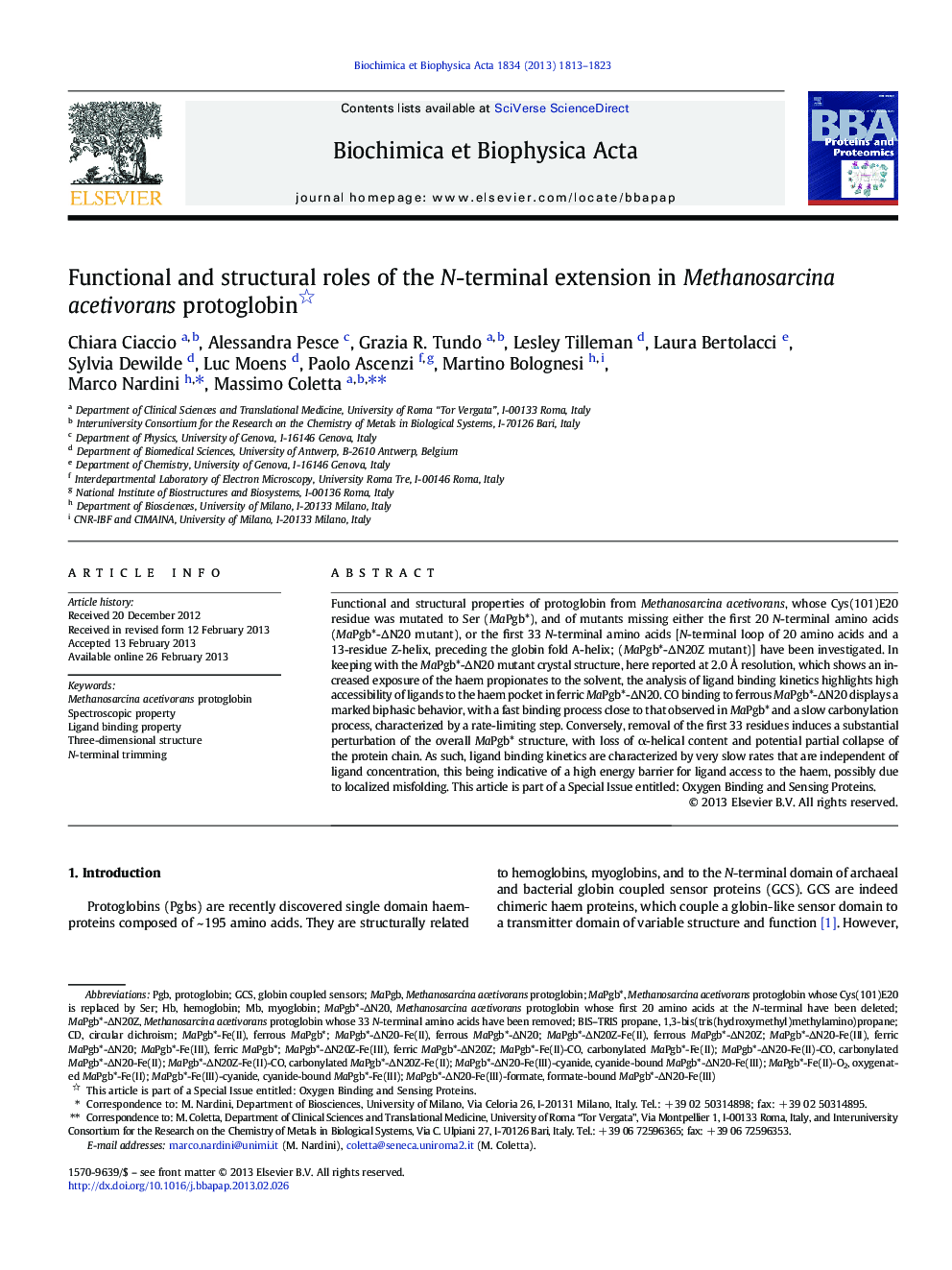 Functional and structural roles of the N-terminal extension in Methanosarcina acetivorans protoglobin