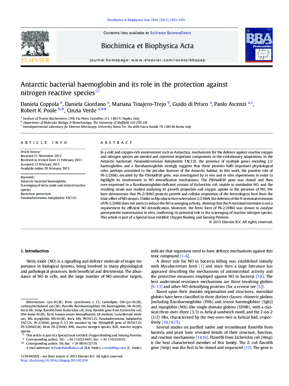 Antarctic bacterial haemoglobin and its role in the protection against nitrogen reactive species