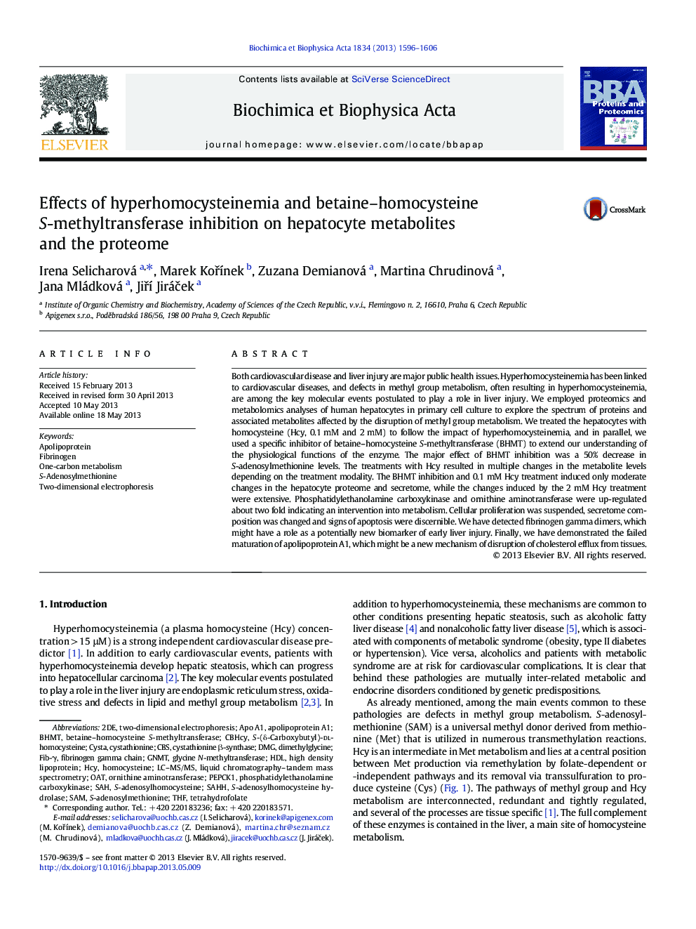 Effects of hyperhomocysteinemia and betaine-homocysteine S-methyltransferase inhibition on hepatocyte metabolites and the proteome