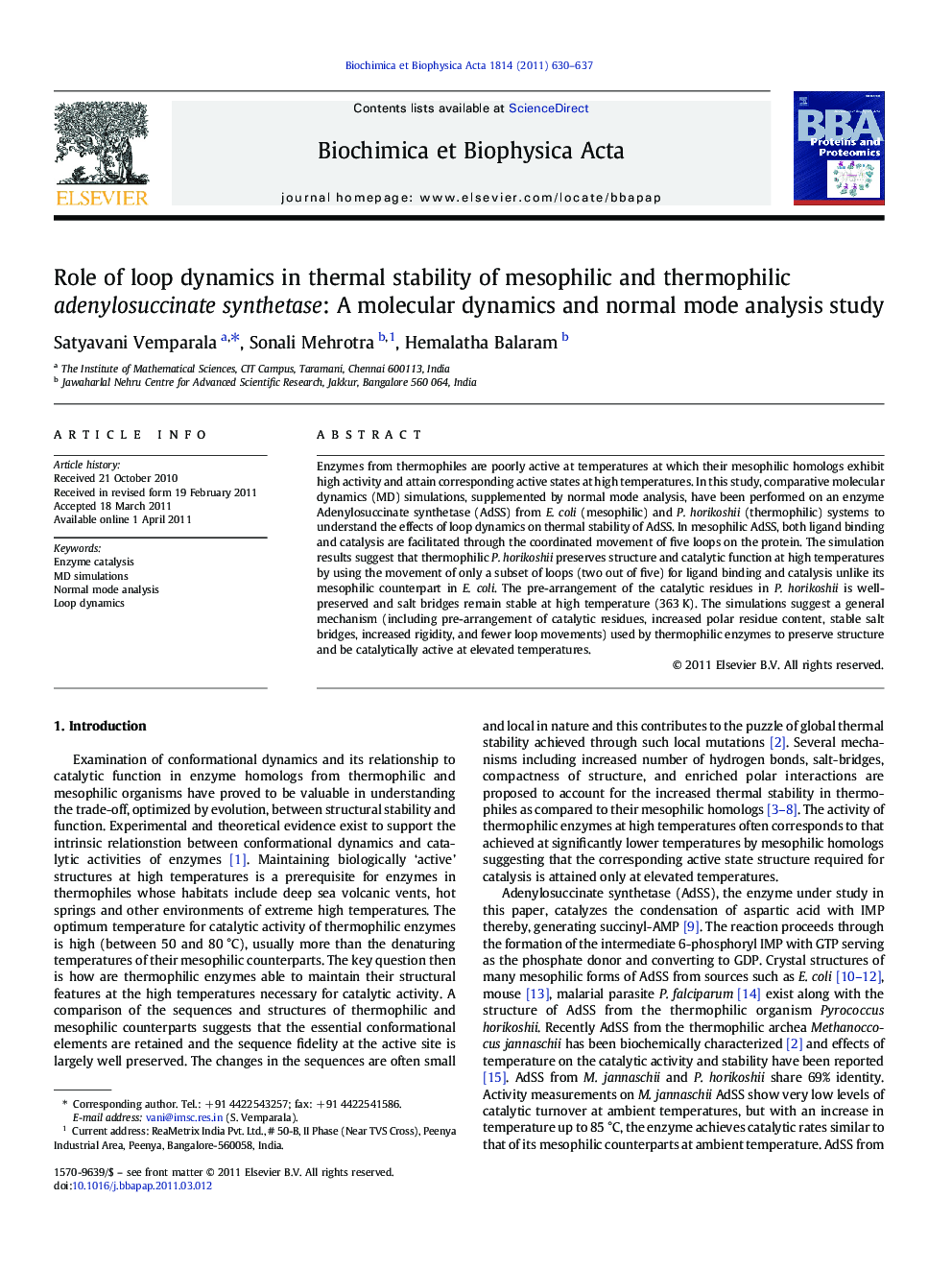 Role of loop dynamics in thermal stability of mesophilic and thermophilic adenylosuccinate synthetase: A molecular dynamics and normal mode analysis study