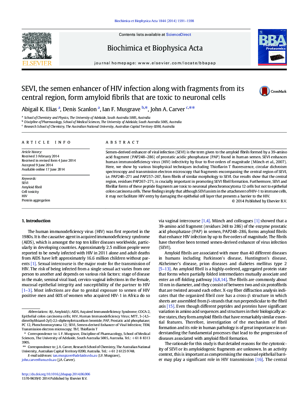 SEVI, the semen enhancer of HIV infection along with fragments from its central region, form amyloid fibrils that are toxic to neuronal cells