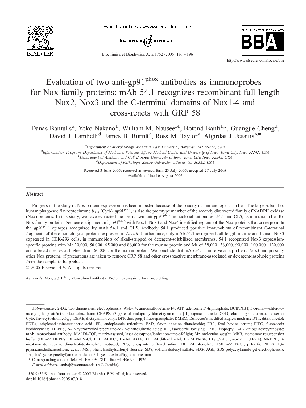 Evaluation of two anti-gp91phox antibodies as immunoprobes for Nox family proteins: mAb 54.1 recognizes recombinant full-length Nox2, Nox3 and the C-terminal domains of Nox1-4 and cross-reacts with GRP 58