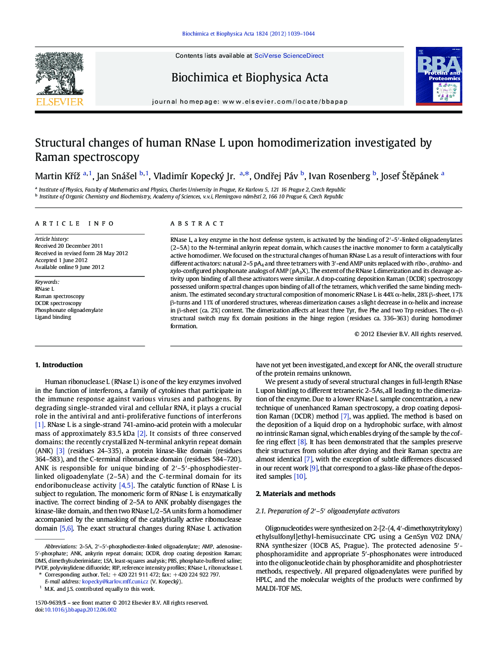 Structural changes of human RNase L upon homodimerization investigated by Raman spectroscopy