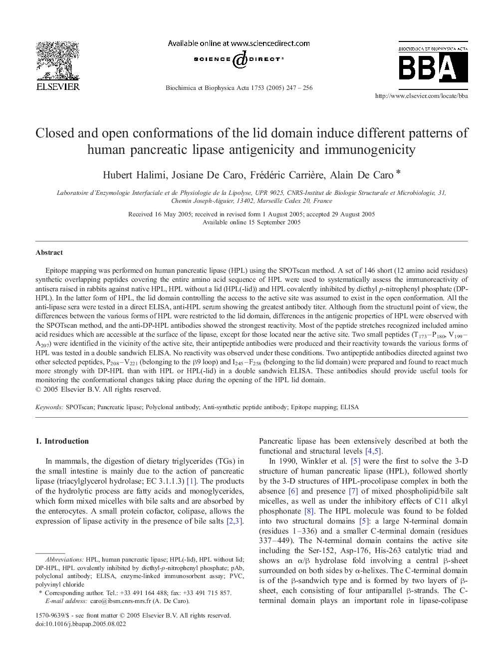 Closed and open conformations of the lid domain induce different patterns of human pancreatic lipase antigenicity and immunogenicity