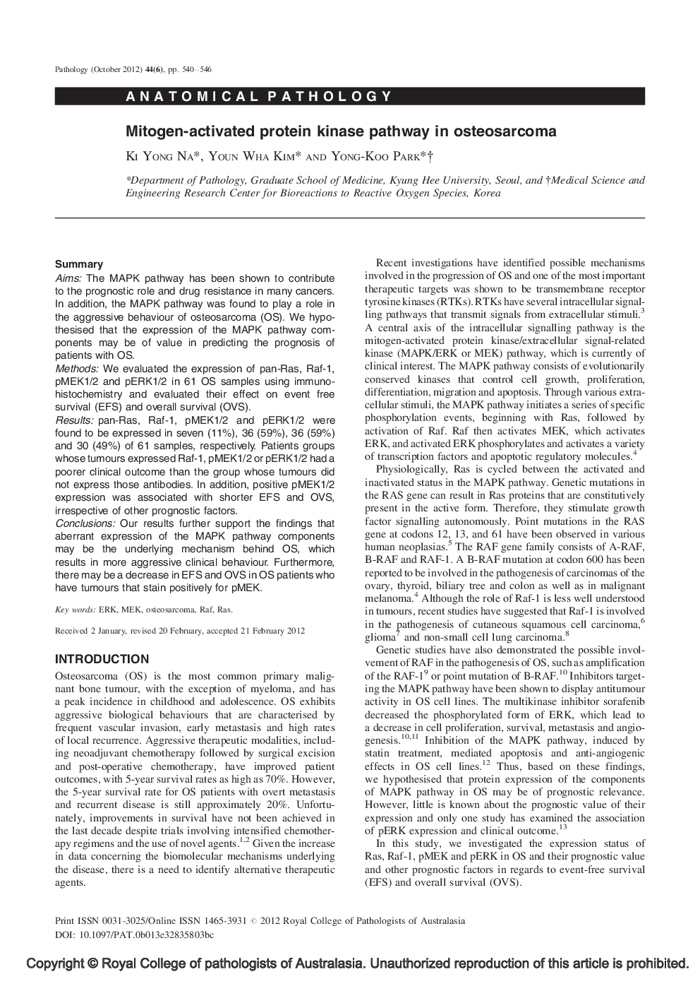 Mitogen-activated protein kinase pathway in osteosarcoma