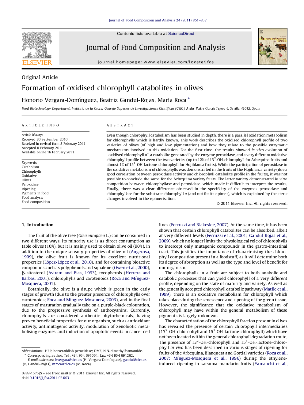 Formation of oxidised chlorophyll catabolites in olives