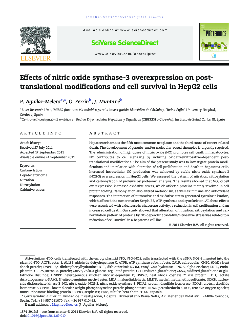 Effects of nitric oxide synthase-3 overexpression on post-translational modifications and cell survival in HepG2 cells