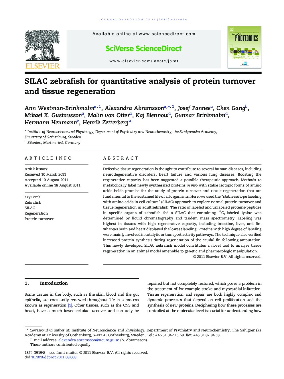 SILAC zebrafish for quantitative analysis of protein turnover and tissue regeneration