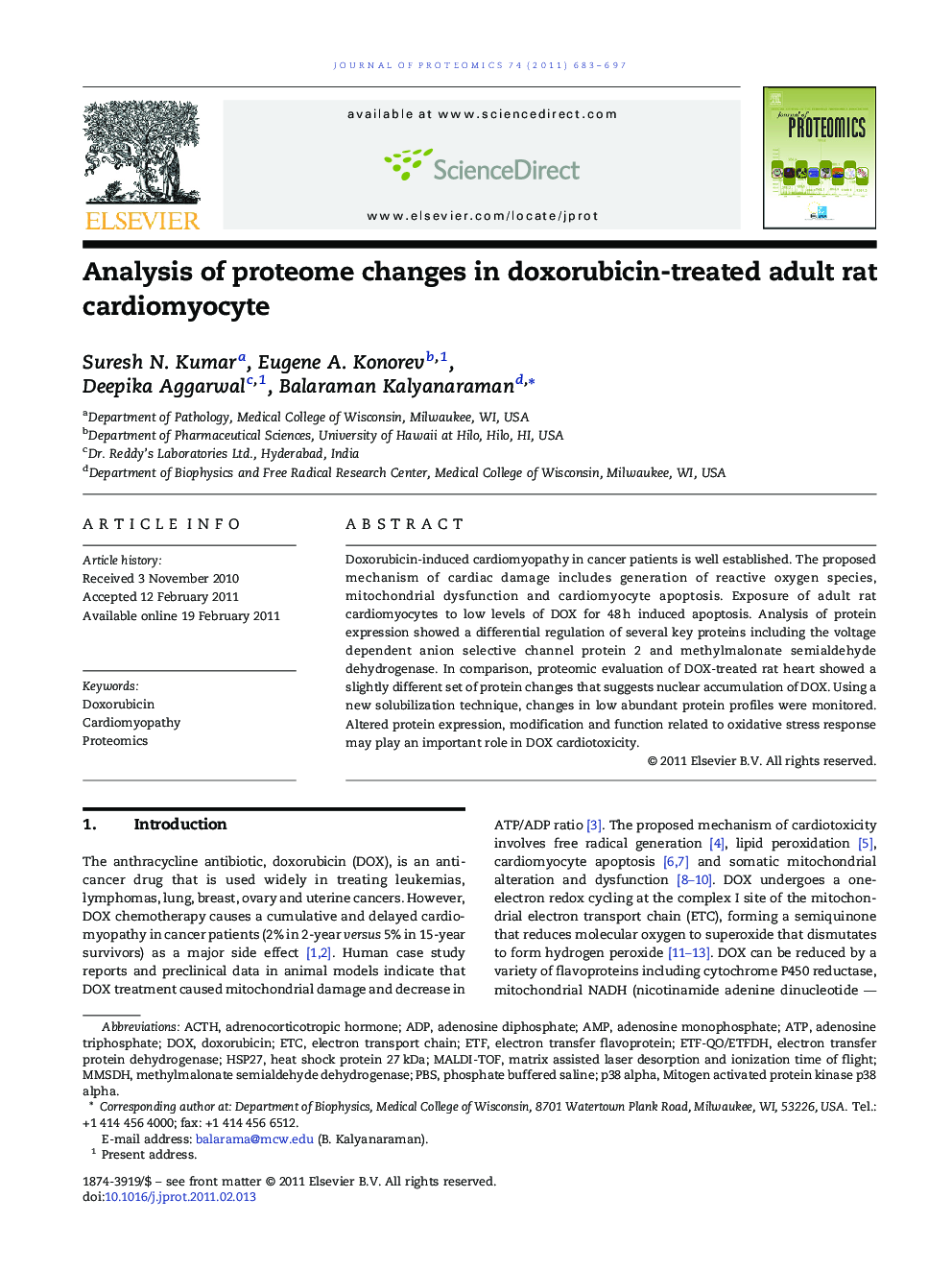 Analysis of proteome changes in doxorubicin-treated adult rat cardiomyocyte