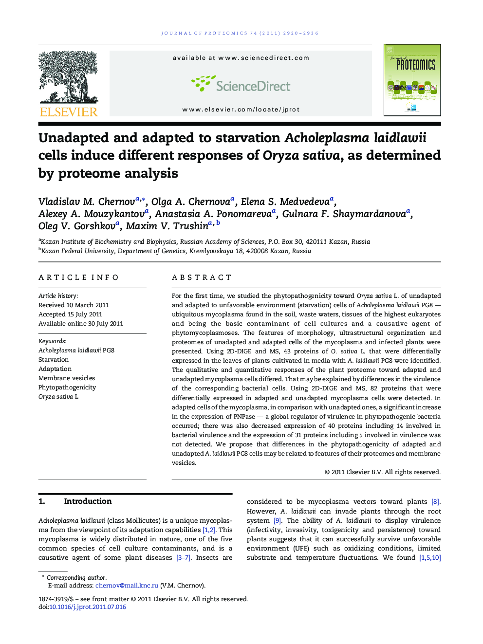 Unadapted and adapted to starvation Acholeplasma laidlawii cells induce different responses of Oryza sativa, as determined by proteome analysis