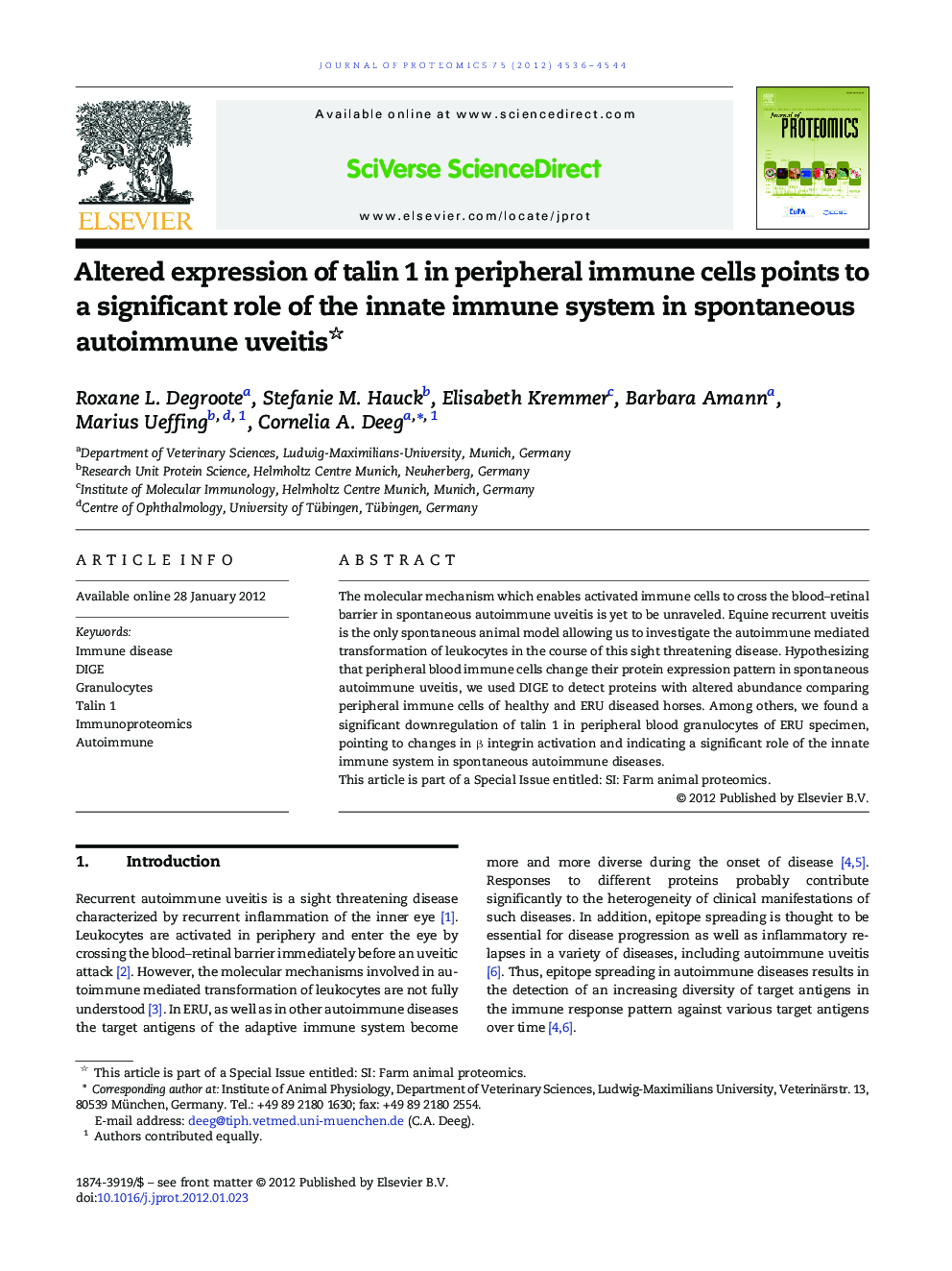 Altered expression of talin 1 in peripheral immune cells points to a significant role of the innate immune system in spontaneous autoimmune uveitis