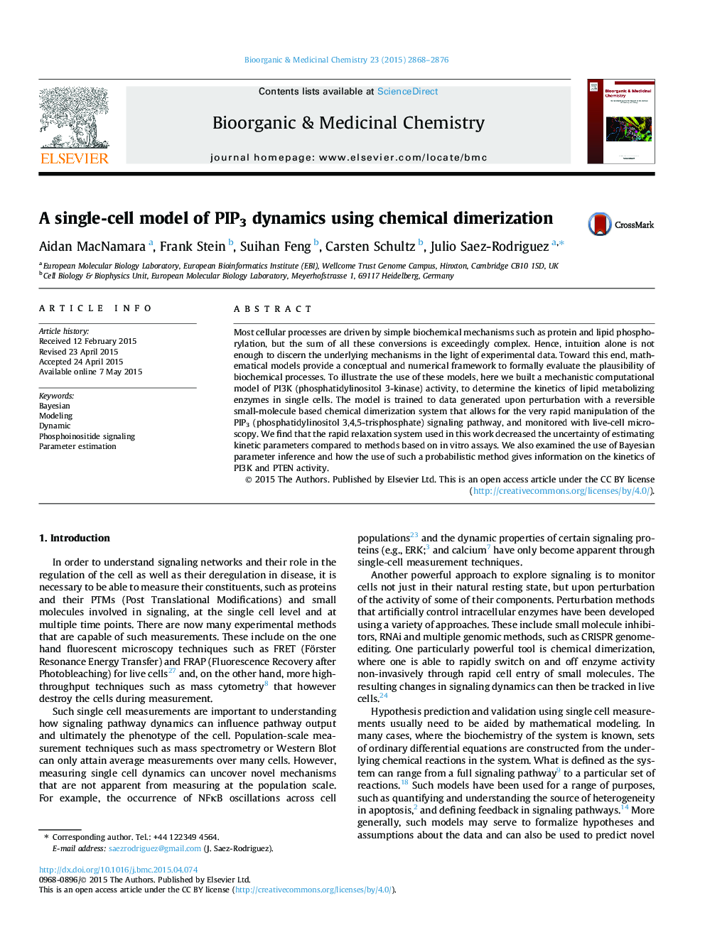 A single-cell model of PIP3 dynamics using chemical dimerization