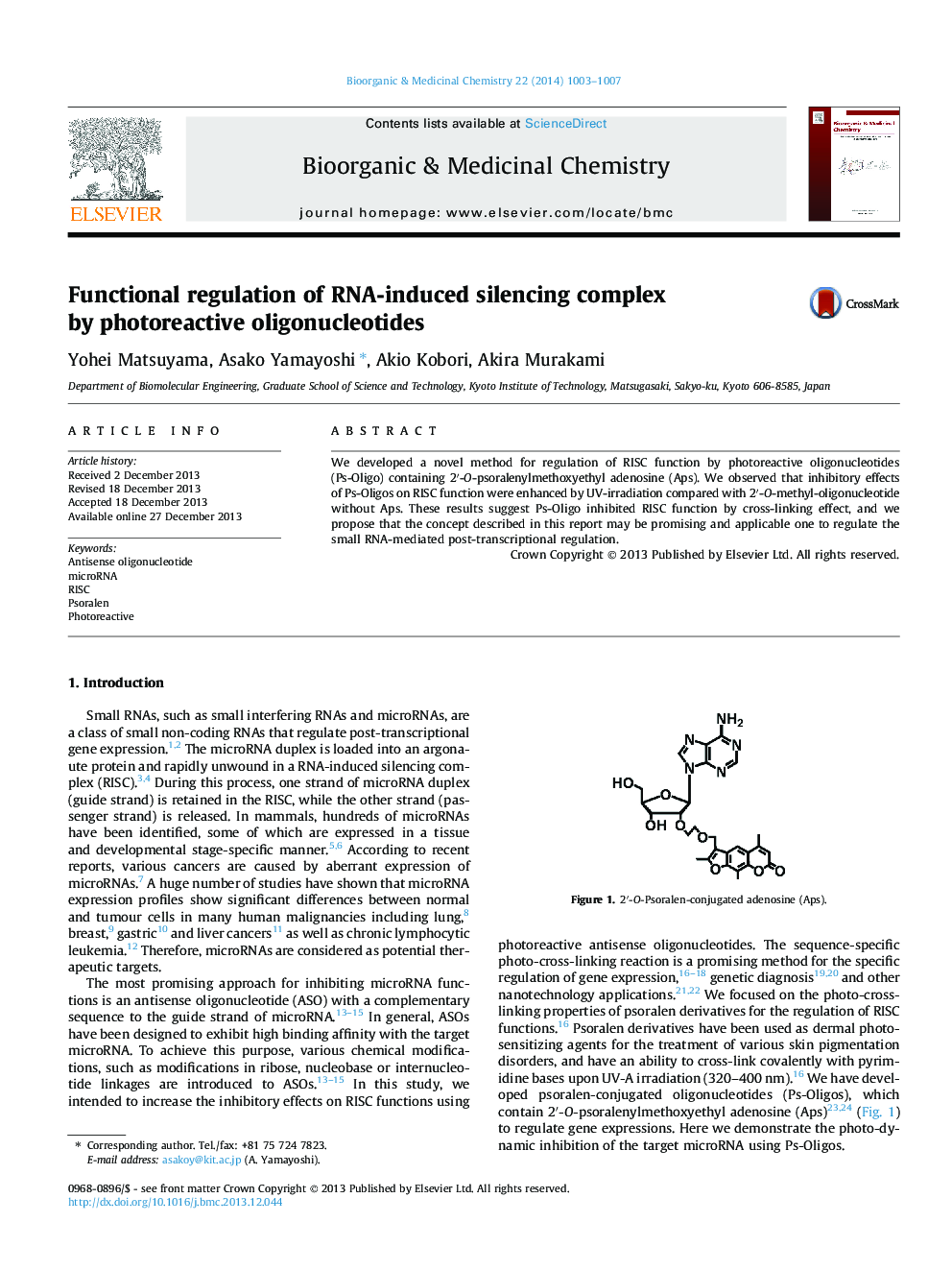 Functional regulation of RNA-induced silencing complex by photoreactive oligonucleotides