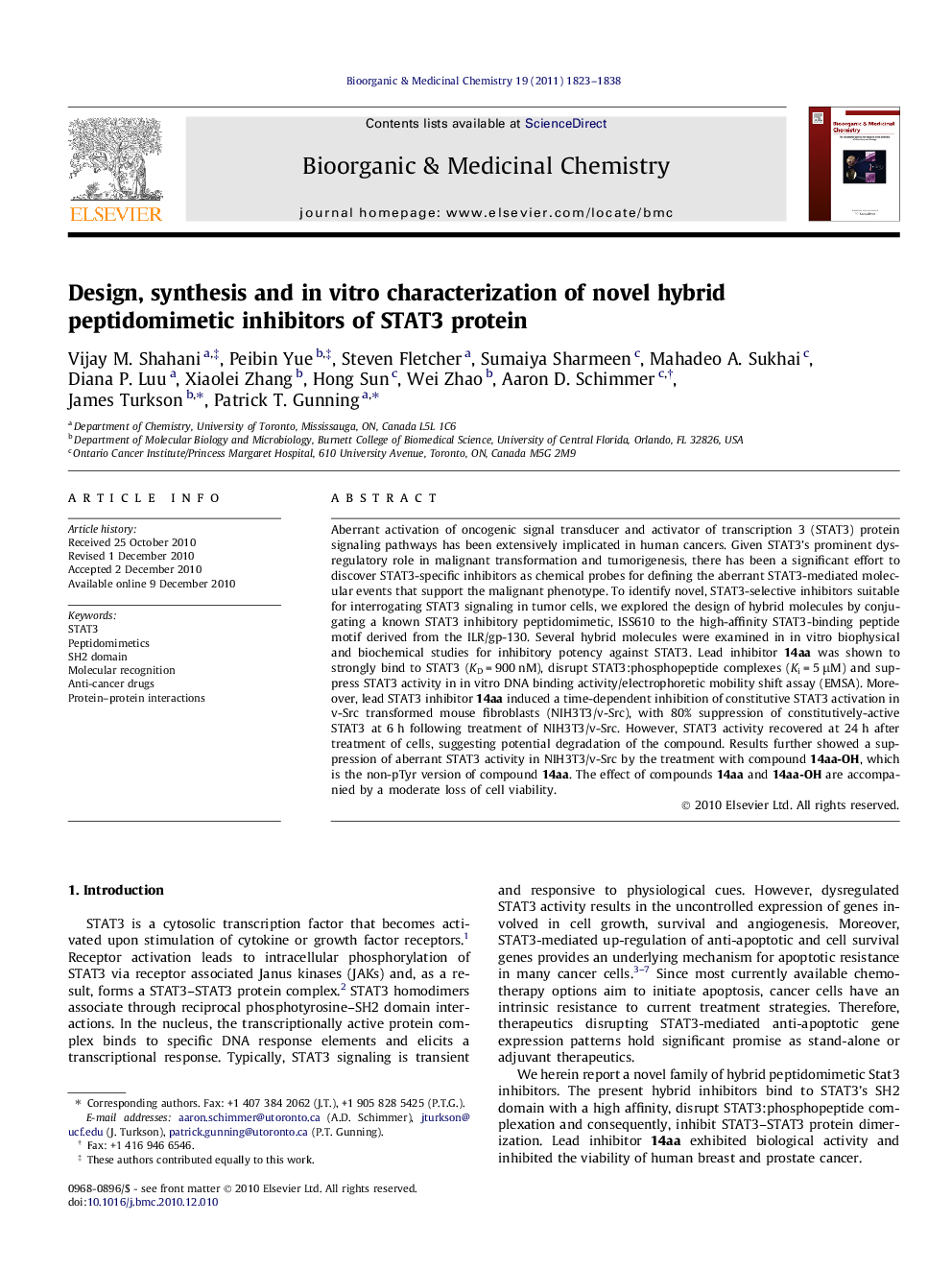 Design, synthesis, and in vitro characterization of novel hybrid peptidomimetic inhibitors of STAT3 protein