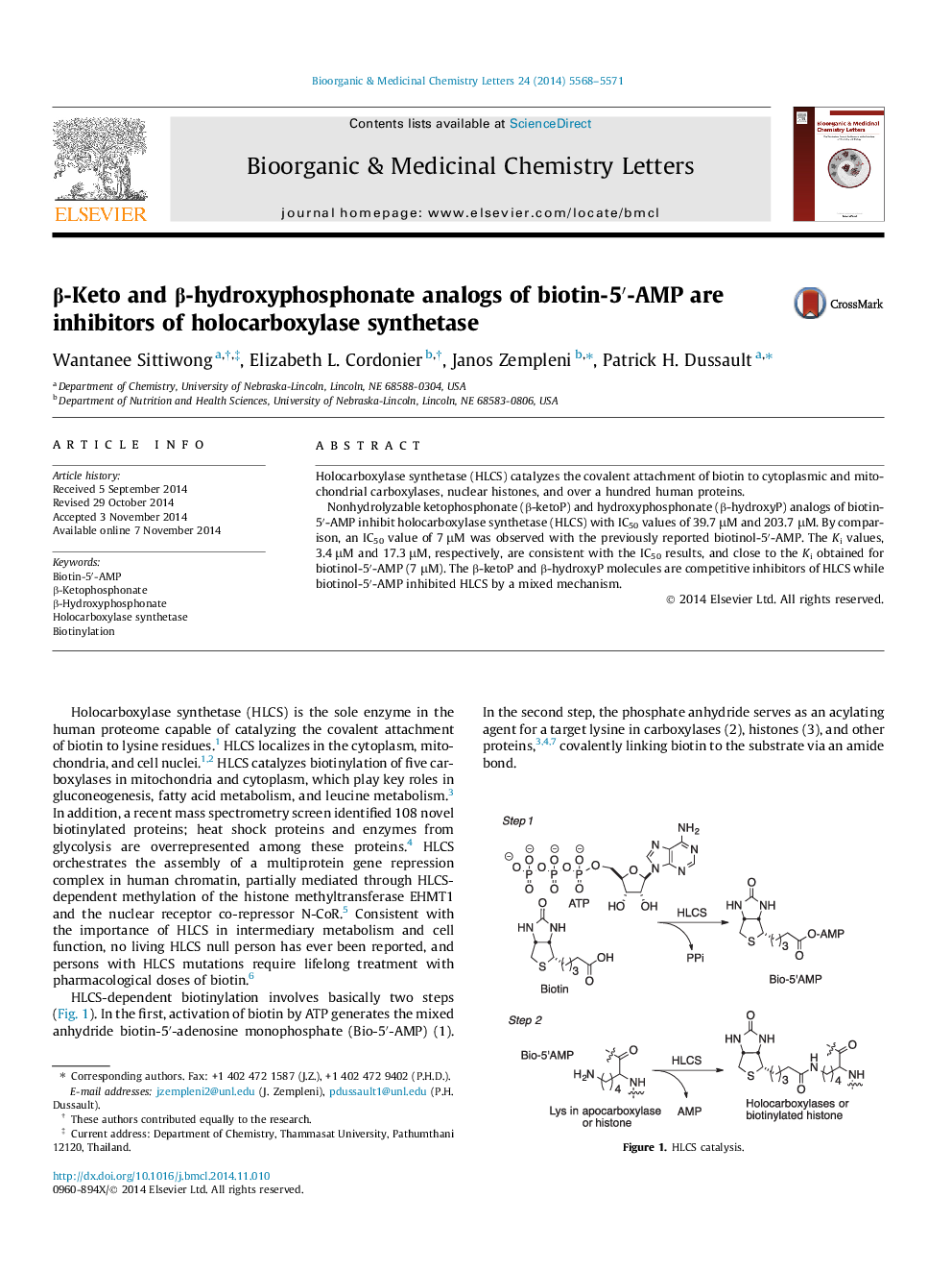 Î²-Keto and Î²-hydroxyphosphonate analogs of biotin-5â²-AMP are inhibitors of holocarboxylase synthetase