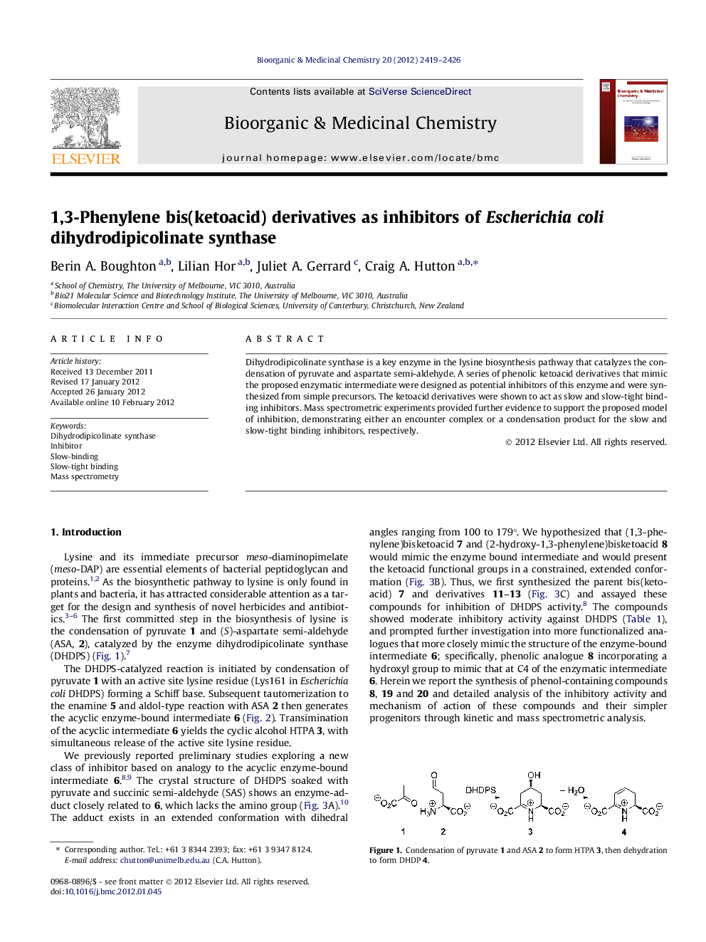 1,3-Phenylene bis(ketoacid) derivatives as inhibitors of Escherichia coli dihydrodipicolinate synthase