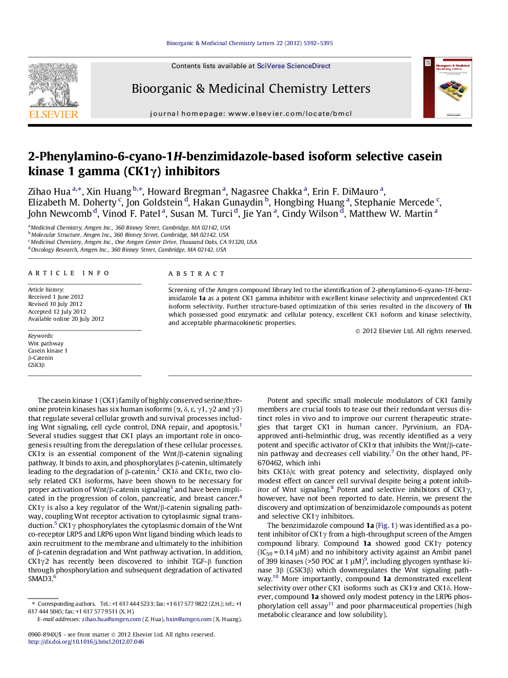 2-Phenylamino-6-cyano-1H-benzimidazole-based isoform selective casein kinase 1 gamma (CK1Î³) inhibitors