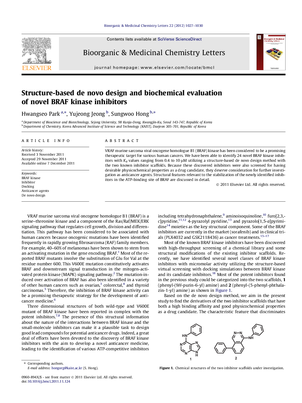 Structure-based de novo design and biochemical evaluation of novel BRAF kinase inhibitors