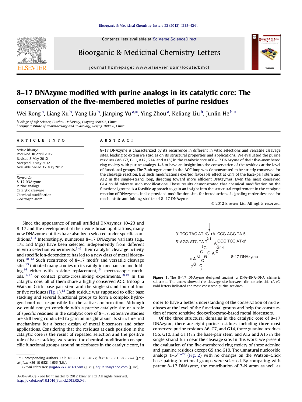 8-17 DNAzyme modified with purine analogs in its catalytic core: The conservation of the five-membered moieties of purine residues