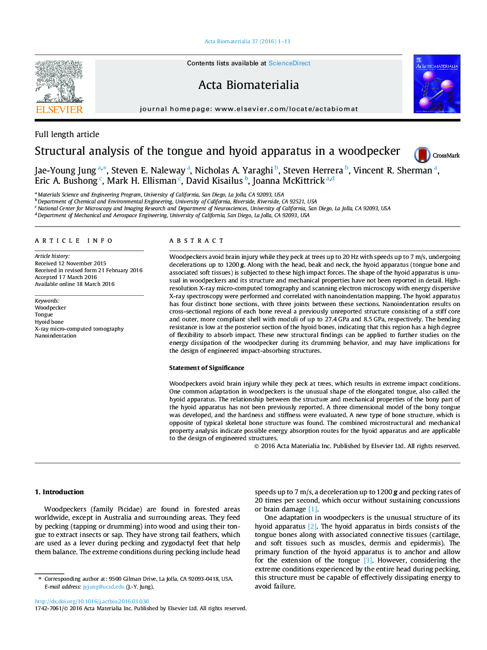 Structural analysis of the tongue and hyoid apparatus in a woodpecker