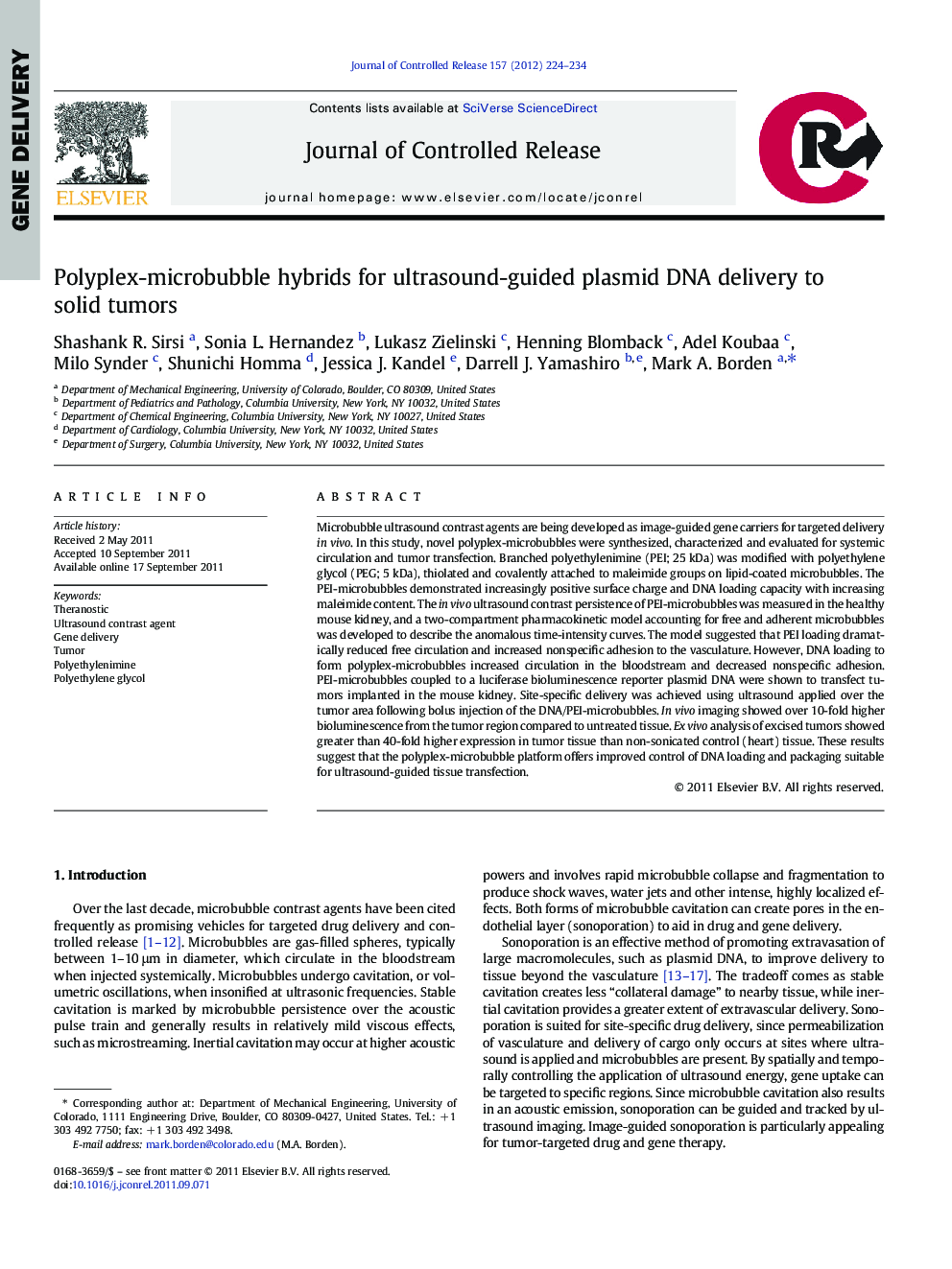 Polyplex-microbubble hybrids for ultrasound-guided plasmid DNA delivery to solid tumors