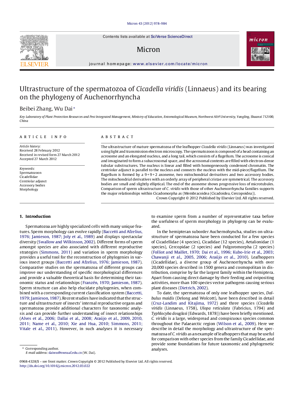 Ultrastructure of the spermatozoa of Cicadella viridis (Linnaeus) and its bearing on the phylogeny of Auchenorrhyncha