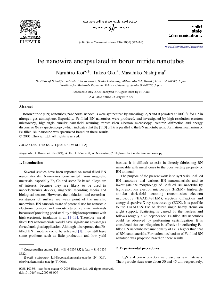 Fe nanowire encapsulated in boron nitride nanotubes