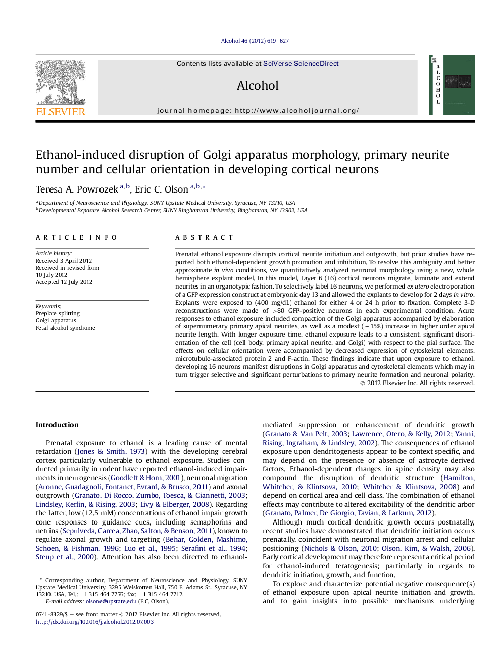 Ethanol-induced disruption of Golgi apparatus morphology, primary neurite number and cellular orientation in developing cortical neurons