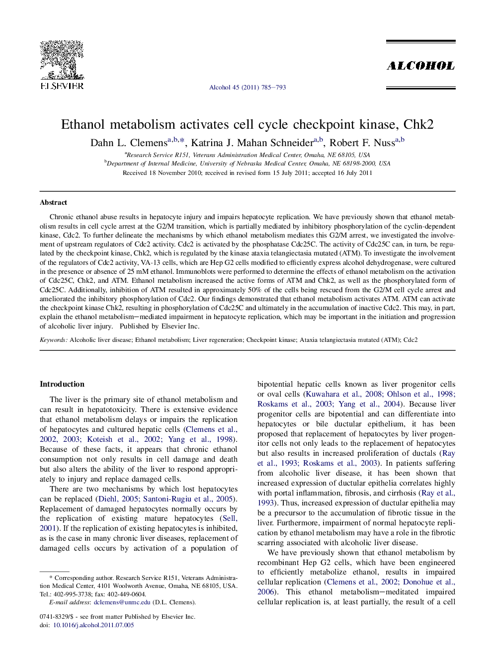 Ethanol metabolism activates cell cycle checkpoint kinase, Chk2