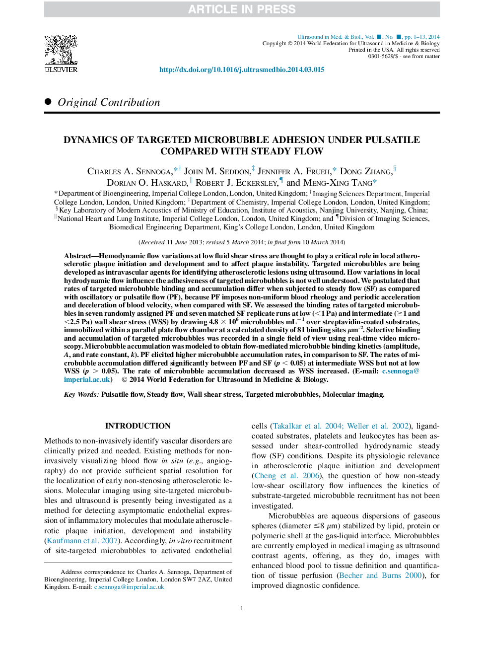 Dynamics of Targeted Microbubble Adhesion Under Pulsatile Compared with Steady Flow