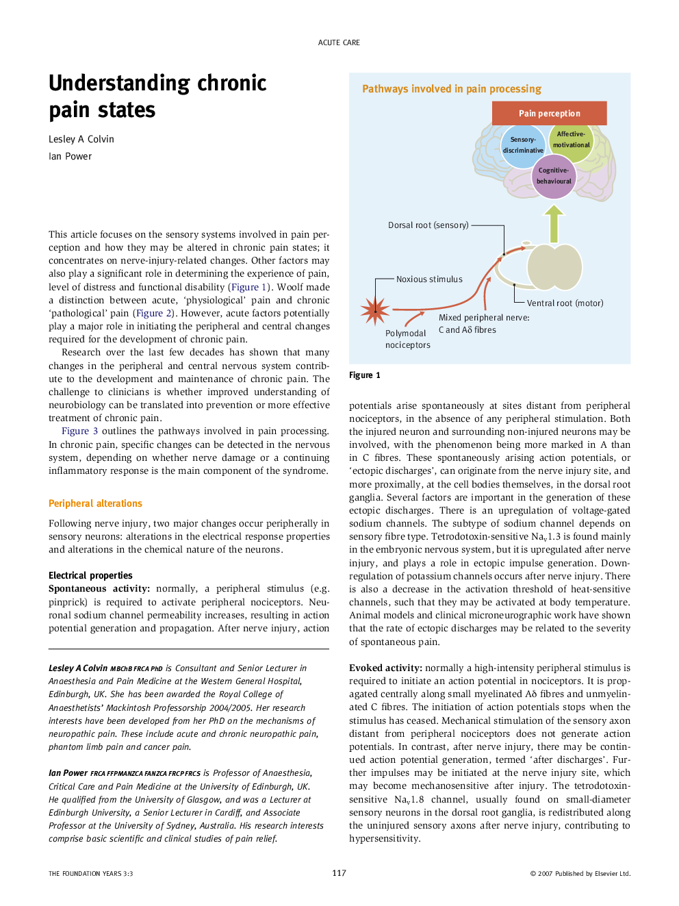 Understanding chronic pain states