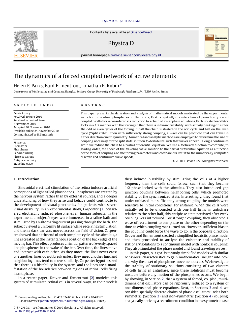 The dynamics of a forced coupled network of active elements